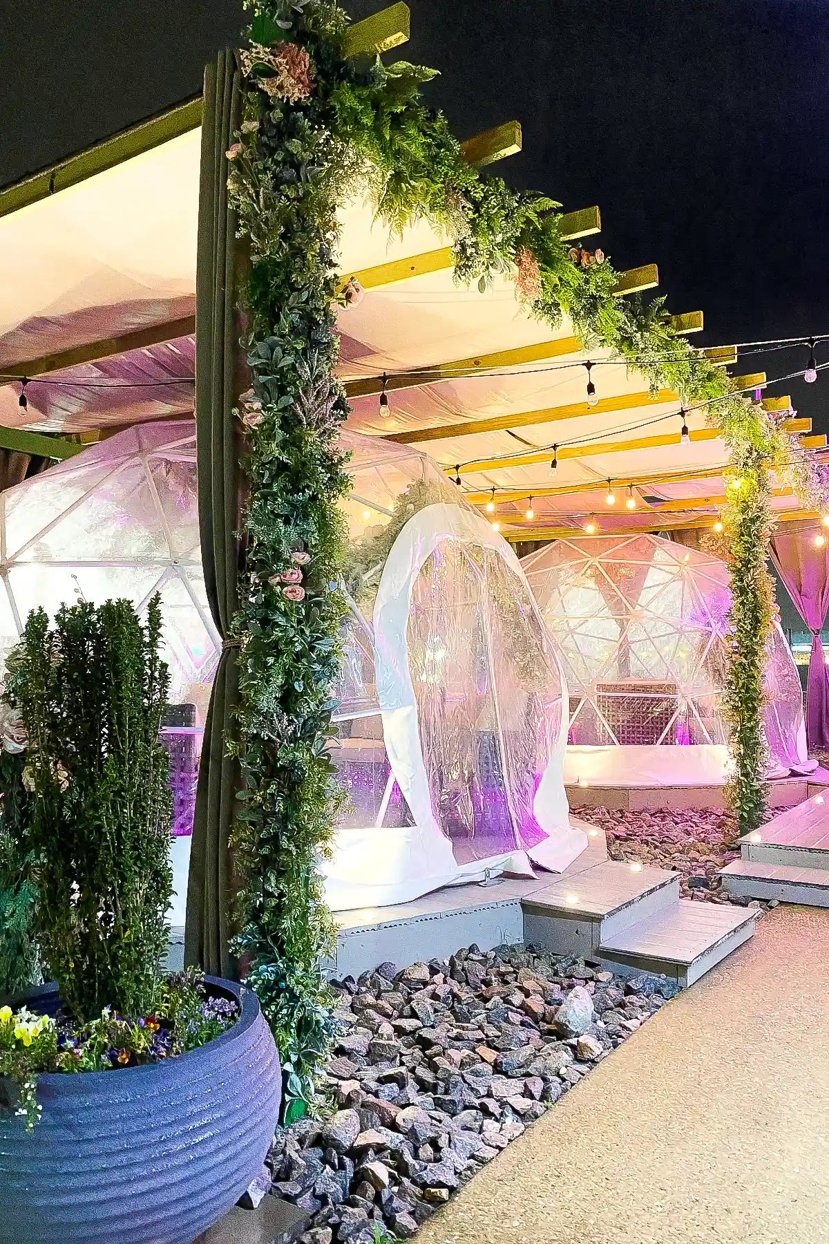 Two igloo lounges outside at night with pink lights.